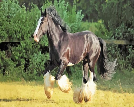 Adorable Black Shire Horse paint by numbers