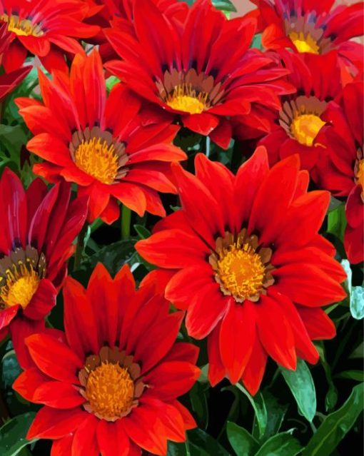 Blooming Red Gazania Flowers paint by numbers