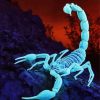 Bright Blue Scorpion paint by numbers