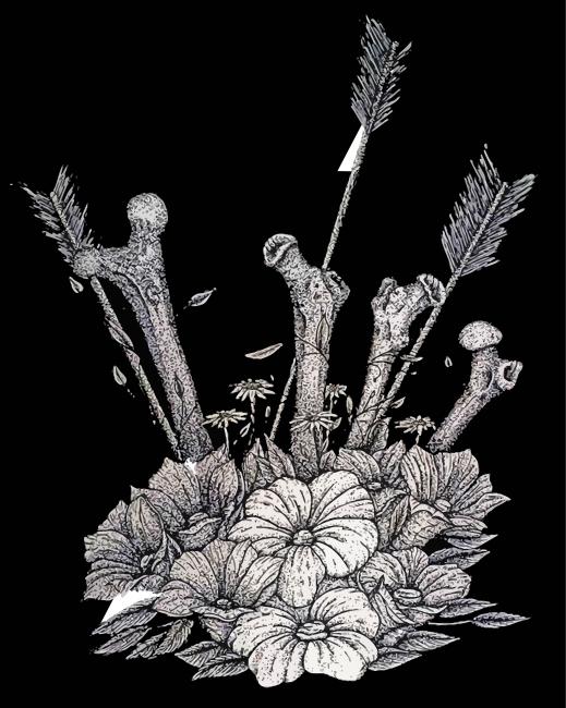Black And White Bones With Flowers paint by numbers