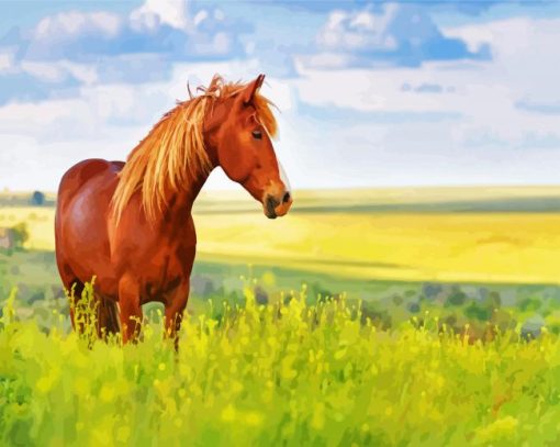 Brown Horse Art paint by numbers
