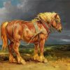 Adorable Brown Shire Horse Animal paint by numbers