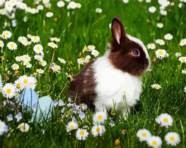 Bunny In Chamomile Field paint by numbers
