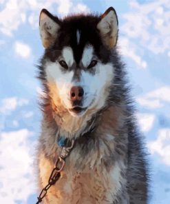 Canadian Eskimo Dog Animal paint by numbers