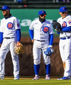 Chicago Cubs Baseball paint by numbers