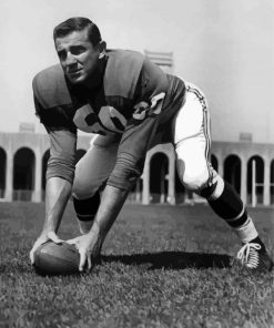Chuck Bednarik American Football Player paint by number
