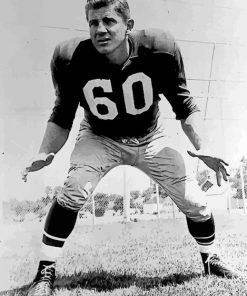 Chuck Bednarik Player paint by number