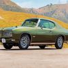 Classic Green Gto Car paint by numbers