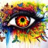 Colorful Splash Eye Art paint by numbers