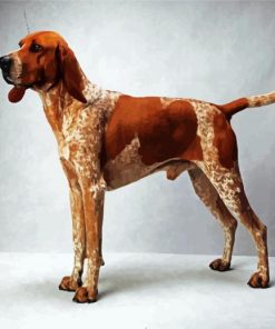 Brown Coonhound Dog Animal paint by numbers