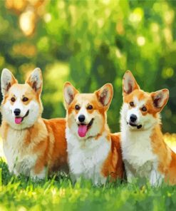 Tree Cute Corgi Dogs Animals paint by numbers