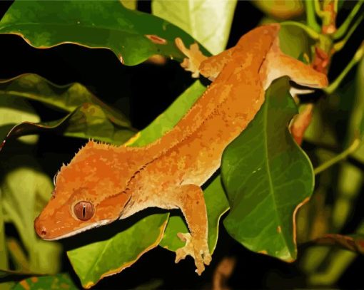 Crested Gecko Lizard paint by numbers