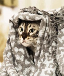 Cute Cat With Grey Blanket paint by numbers