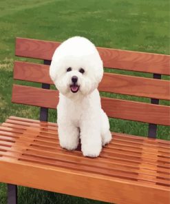 Cute Bichon Frise Puppy paint by numbers