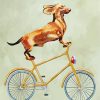 Cyclist Dachshund Dog paint by numbers