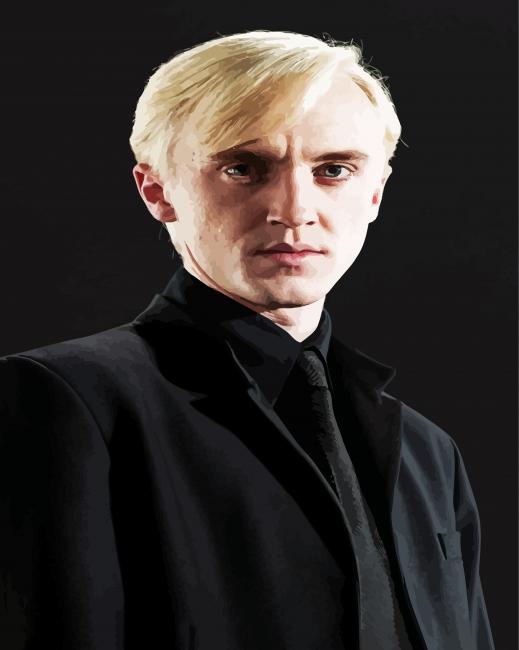 Draco Malfory Character paint by numbers