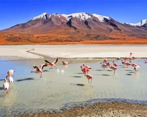 Flamingos Birds Bolivia paint by numbers