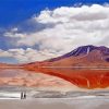 Flamingos Lake In Bolivia paint by numbers