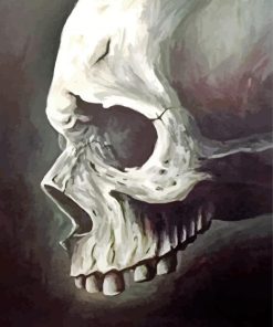 Black And White Head Bones paint by numbers