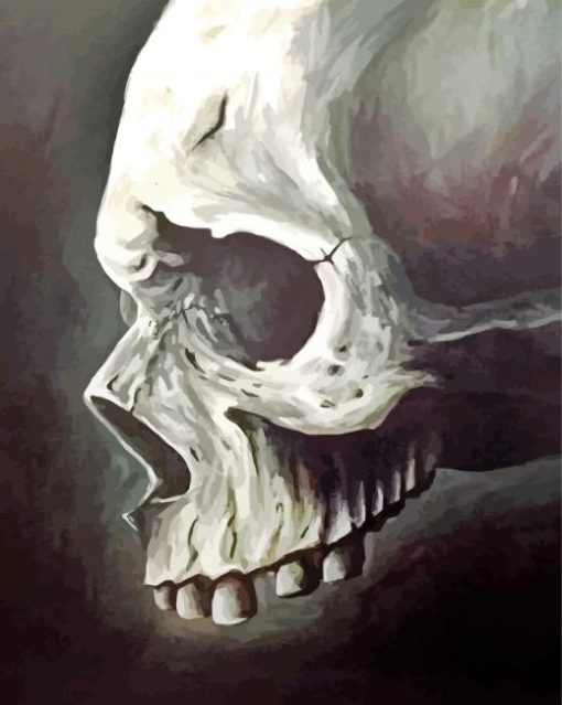 Black And White Head Bones paint by numbers