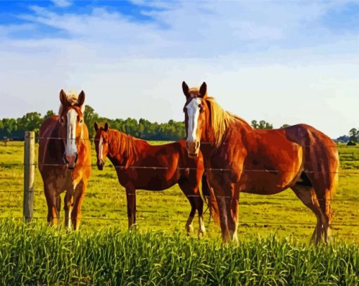 Horses In Fields paint by numbers