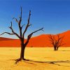 Kalahari Desert Landscape paint by numbers