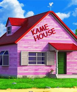 Kame Pink House Building paint by numbers