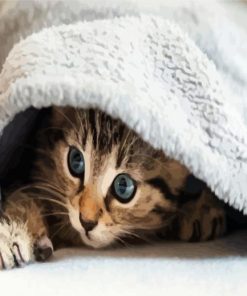 Little Cute Cat In A Blanket paint by numbers