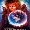 Labyrinth Poster paint by numbers