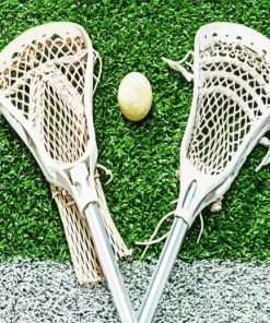 Lacrosse Equipment paint by numbers