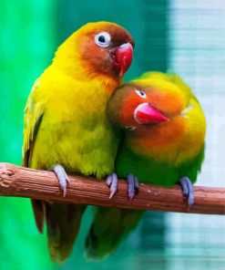 Cute Lovebirds paint by numbers