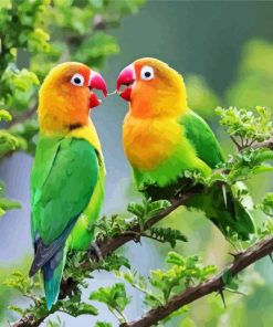 Lovebirds On Tree paint by numbers