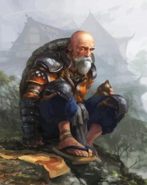 Master Roshi Anime Character paint by numbers