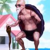 Master Roshi Dragon Ball Z paint by numbers