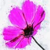 Pink Cosmos Art paint by numbers