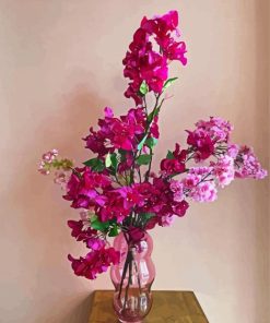 Purple And Pink Bougainvilea paint by numbers