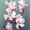 Pink White Magnolia Flower paint by numbers