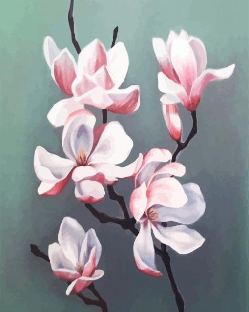 Pink White Magnolia Flower paint by numbers