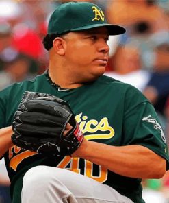 Pitcher Bartolo Colon paint by number