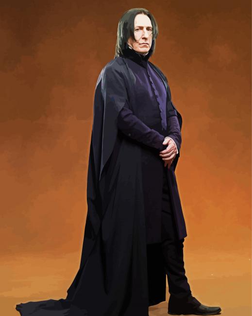 Professor Serevus Snape Harry Poter paint by numbers