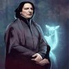 Aesthetic Professor Snape Sevus paint by numbers