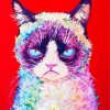 Rainbow Grumpy Cat paint by numbers