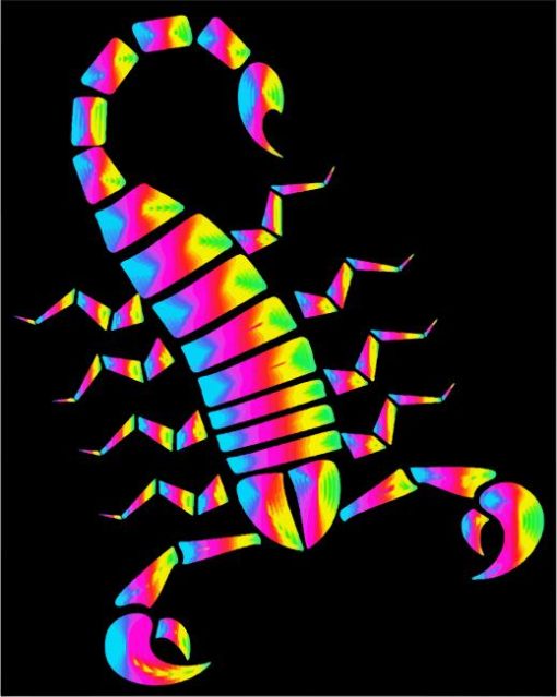 Colorful Scorpionpaint by numbers
