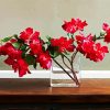 Adorable Red Bougainvilea paint by numbers