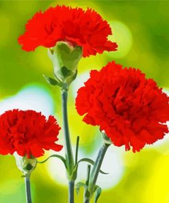 Adorable Bright Red Carnation paint by numbers
