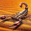 Brown Scorpion in Desert paint by numbers