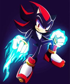 Shadow The Hedgehog Power paint by numbers