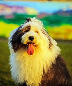 Cute Happy Sheepdog paint by numbers