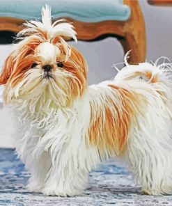 Shih Tzu Dog White Dog paint by numbers