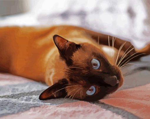 SIamese Cat With Blue Eyes paint by numbers